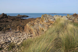 Rocky coastal landscape with granite reef next to gold and green grasses, blue ocean and sky. The granite reef colours range from pale pinks to rich browns.