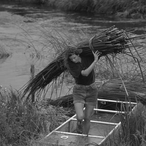 Felicity Irons carrying a bolt of harvested bulrush from her wooden punt on the river in Bedfordshire UK..