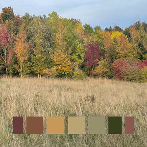 The trees are turning red and golden. A warm glow spans the forest border, peppered with olive greens and deep russet browns. The colours are rich and fiery across the trees, tempered by fading tones of the dried grass stems on lower ground.